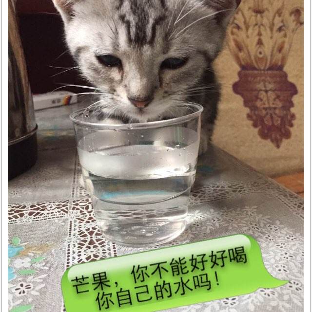 日本北翔大学成绩单办理